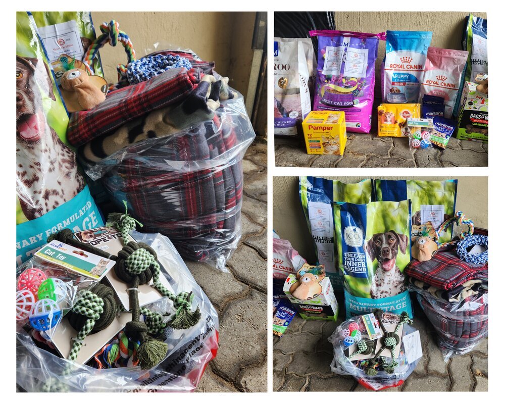 Animal Protection Network Drop Off